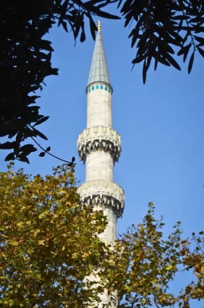 Architettura Ottomana Moschee Minareti Cielo Blu Acero Sicomoro Istanbul Turchia — Foto Stock