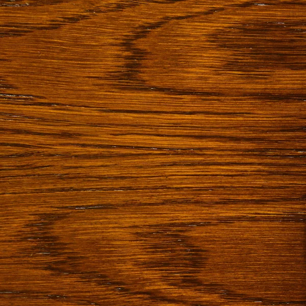 Tahta dokusu. Meşe ağacı, arka plan olarak kullanılabilir, şablon arka plan