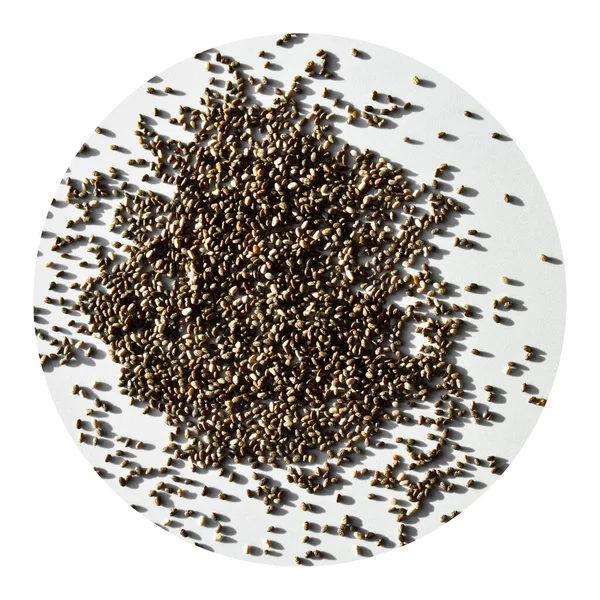 Glutenvrije Quinoa Chenopodium Zaden Granen Kan Worden Gebruikt Voor Dieet — Stockfoto