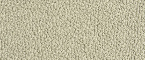 Taklit sığır derisi bej dokusu yakın plan, herhangi bir tasarım çalışması için kullanışlı