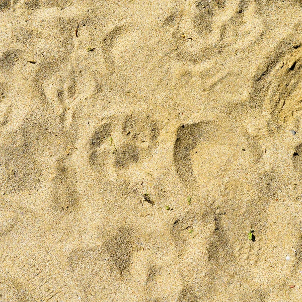 Moře Nebo Oceán Strana Zlatá Barva Jemný Písek Textury Pláži — Stock fotografie