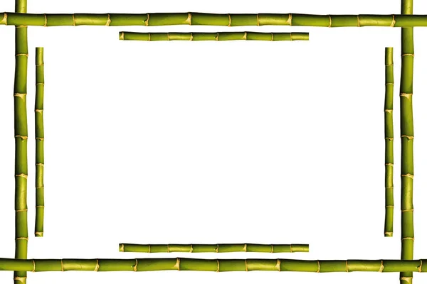 Square empty wooden and green bamboo frame, isolated on white background