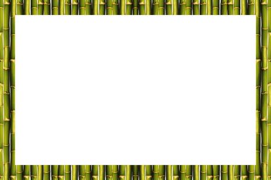 Dikdörtgen boş ahşap ve yeşil bambu çerçeve, beyaz arkaplanda izole