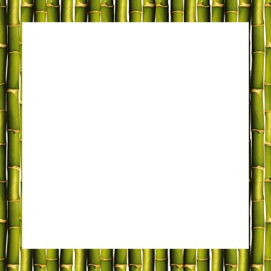Yeşil bambu kare bir çerçeve dokusu, yeşil bambu arkaplan