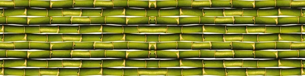 Groene Bamboe Naadloze Muur Hek Textuur Groene Bamboe Achtergrond — Stockfoto