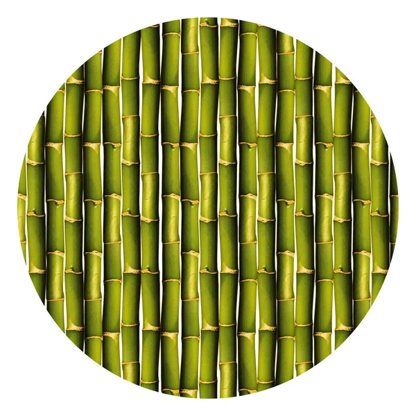 Green Bamboo Texture Green Bamboo Background Isolated White Background — Stock Photo, Image