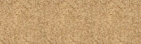 Tapis Tapis Beige Sans Couture Fond Texture Haut Tapis Texture — Photo