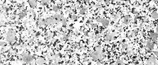 Granit Tekstury Kamienia Granitu Abstrakcyjny Wzór Tła Naturalny Czarny Biały — Zdjęcie stockowe