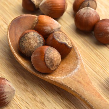 Tahta kaşıkta taze organik fındık fileto.