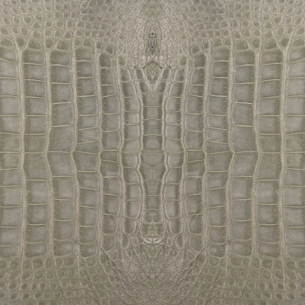 Textura Couro Crocodilo Quadrado Muito Luxuoso Usado Indústria Têxtil Pele — Fotografia de Stock