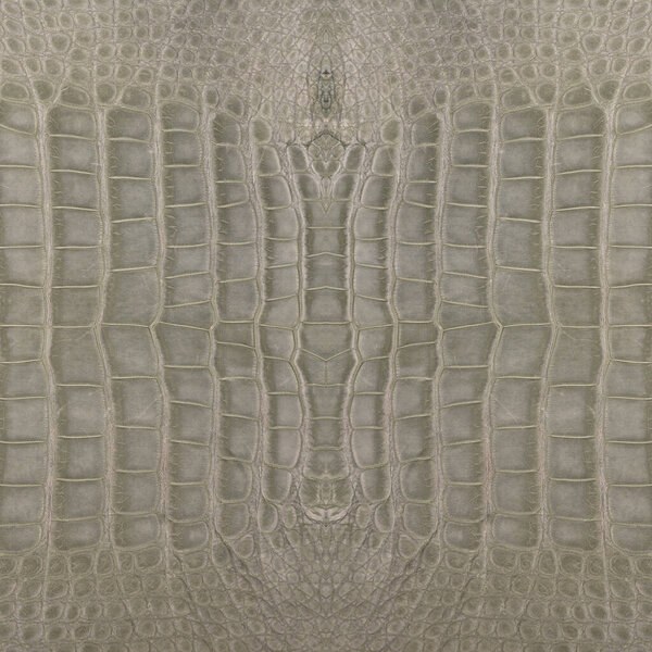 Very luxurious square crocodile leather texture used in textile industry, original skin