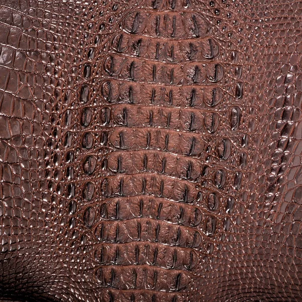Very Luxurious Square Crocodile Leather Texture Used Textile Industry Original — Foto de Stock