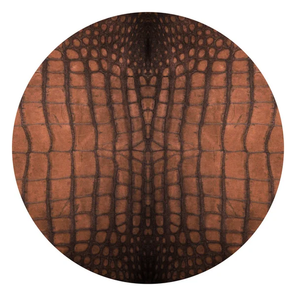 Textura Couro Crocodilo Redondo Muito Luxuoso Usado Indústria Têxtil Pele — Fotografia de Stock