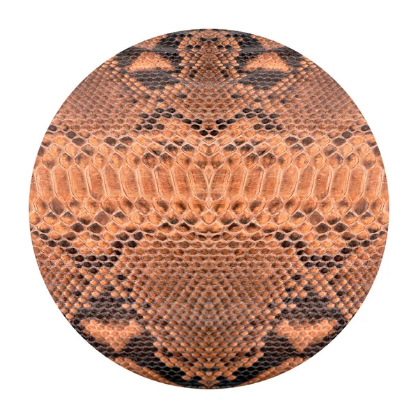 Természetes Kerek Kígyó Bőr Használják Luxus Ruhák Kiegészítők Alkalmas Háttér — Stock Fotó