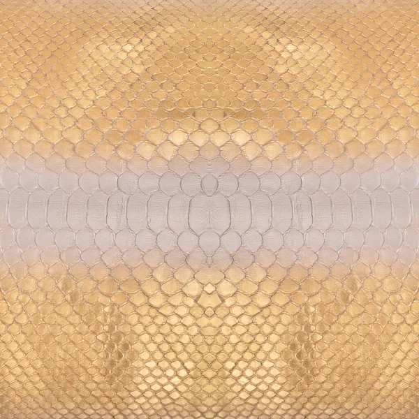 Natural Square Snake Skin Used Luxury Clothes Accessories Suitable Background — Photo