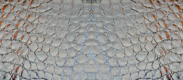 Velmi Luxusní Obdélníková Textura Krokodýlí Usně Používaná Textilním Průmyslu Původní — Stock fotografie