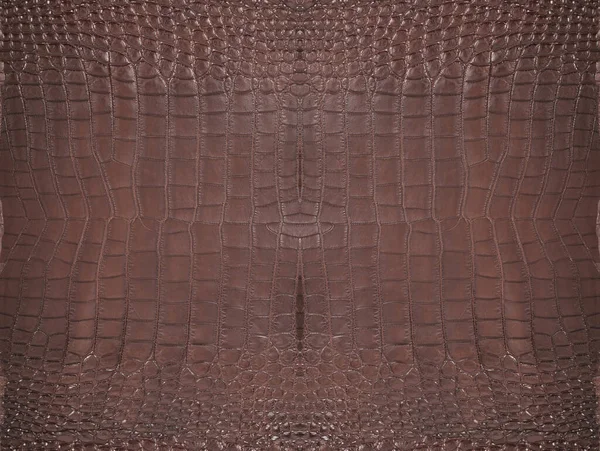 Very Luxurious Rectangle Crocodile Leather Texture Used Textile Industry Original — Φωτογραφία Αρχείου