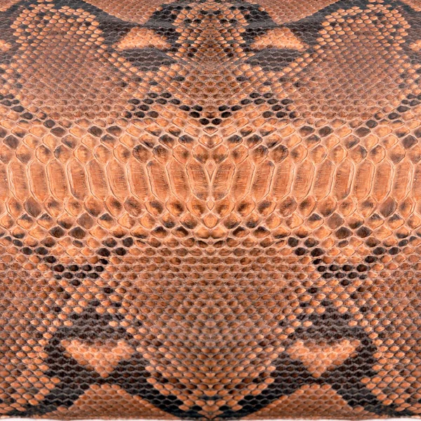 Natural Square Snake Skin Used Luxury Clothes Accessories Suitable Background — Fotografia de Stock