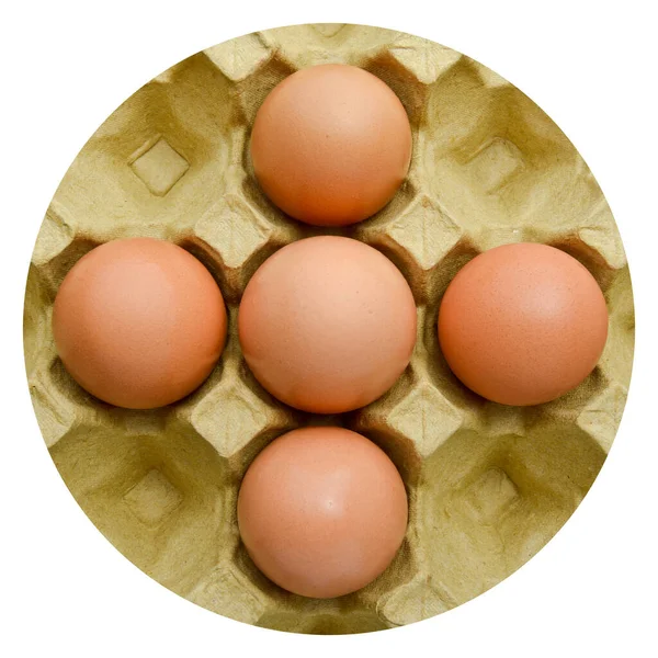 Verse Biologische Bruine Eieren Een Kartonnen Doos Beschermd Papier Gele — Stockfoto