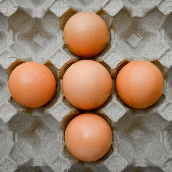 Huevos Marrones Orgánicos Frescos Paquete Caja Cartón Caja Huevo Gris —  Fotos de Stock