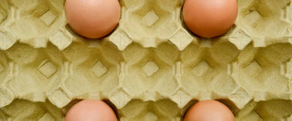 新鲜的有机褐色鸡蛋在纸盒包装中 保护纸黄色蛋盒 — 图库照片