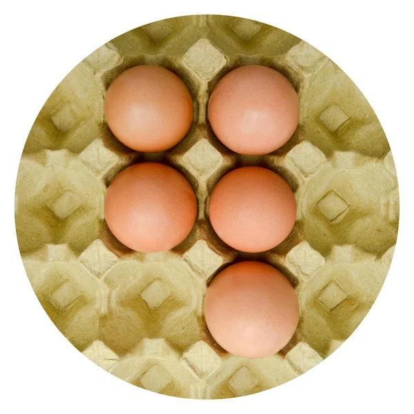 Huevos Marrones Orgánicos Frescos Paquete Caja Cartón Caja Huevos Amarillos — Foto de Stock
