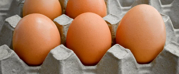 Свежие Органические Коричневые Яйца Коробке Пакет Защищенная Бумага Серый Яйцо — стоковое фото