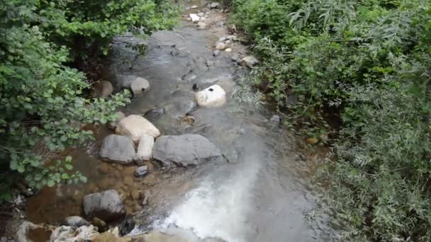 Spokojnie Płynąca Czysta Krystalicznie Czysta Rzeka Rzeka Lesie Klip Wideo