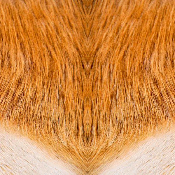 Natural Real Beige Pelo Castaño Textura Piel Cabra —  Fotos de Stock