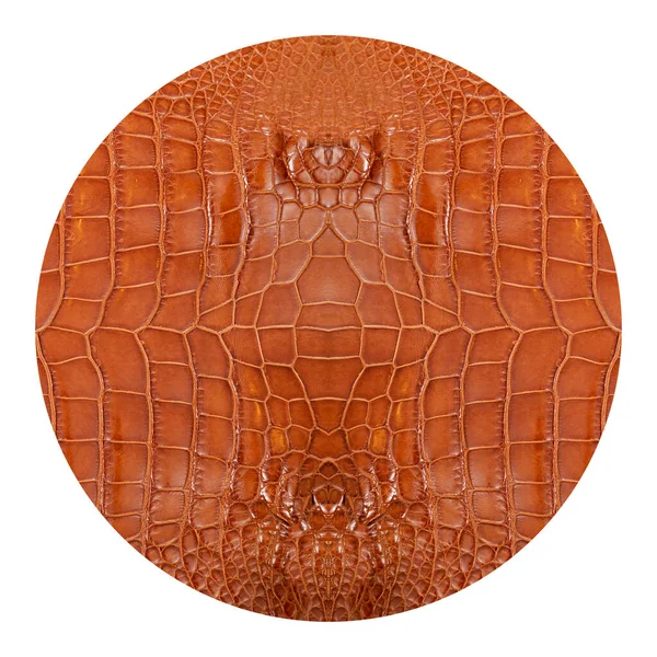Textura Couro Crocodilo Redondo Muito Luxuoso Usado Indústria Têxtil Pele — Fotografia de Stock