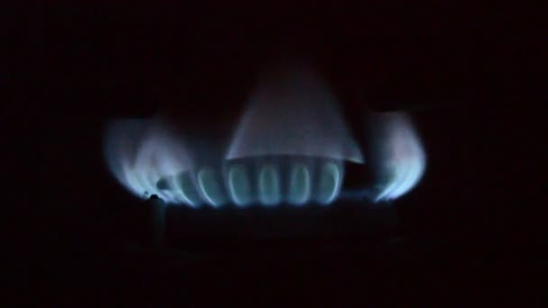 Gas Stove Burning Kitchen Blue Flames Isolated Black Background — Stock Video