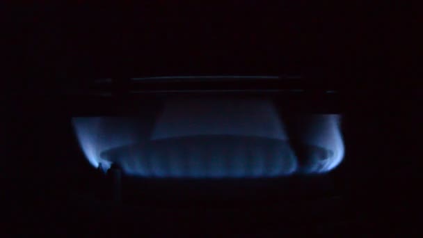 厨房里的煤气炉在燃烧 蓝色的火焰在黑色的背景上被隔离 — 图库视频影像
