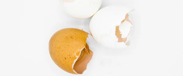 Beyaz Kahverengi Yumurta Kabukları Kırılmış Yumurta Kabukları Beyaz Arka Planda — Stok fotoğraf