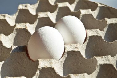 Karton bir pakette taze organik beyaz yumurta, korunmuş kağıt gri yumurta kutusu.