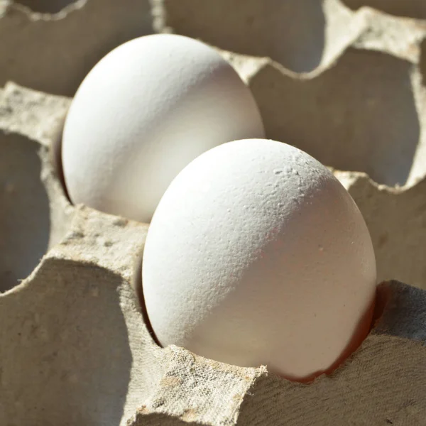 Verse Biologische Witte Eieren Een Kartonnen Doos Beschermd Papieren Grijze — Stockfoto
