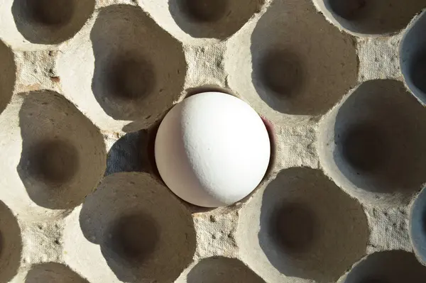 Huevos Blancos Orgánicos Frescos Paquete Caja Cartón Caja Huevo Gris —  Fotos de Stock