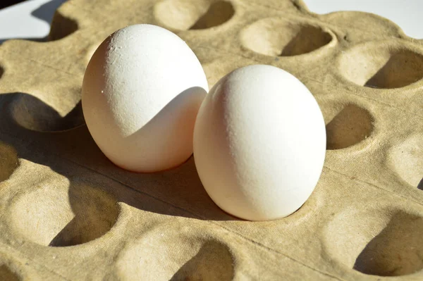 Ovos Brancos Orgânicos Frescos Uma Embalagem Caixa Papelão Caixa Ovo — Fotografia de Stock