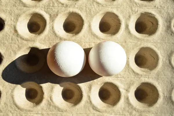 Huevos Blancos Orgánicos Frescos Paquete Caja Cartón Caja Huevo Gris — Foto de Stock