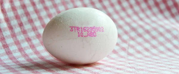 Fresh Organic White Raw Chicken Eggs Red Isolated Checkered Fabric — Fotografia de Stock