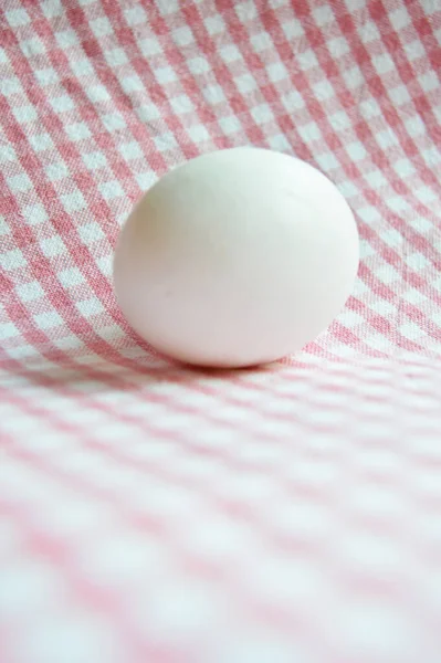 Fresh Organic White Raw Chicken Eggs Red Isolated Checkered Fabric — Stockfoto