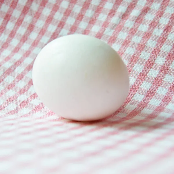 Fresh Organic White Raw Chicken Eggs Red Isolated Checkered Fabric — Stockfoto