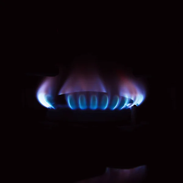 Газовая Плита Горит Кухне Голубое Пламя Изолировано Черном Фоне — стоковое фото