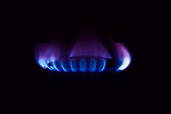Gasherd Brennt Der Küche Blaue Flammen Auf Schwarzem Hintergrund — Stockfoto