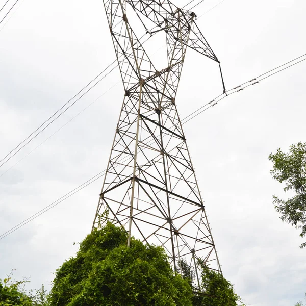 Yüksek Voltajlı Elektrik Kabloları Yeşil Sarmaşık Örtüsü Temiz Gökyüzü Yüksek — Stok fotoğraf