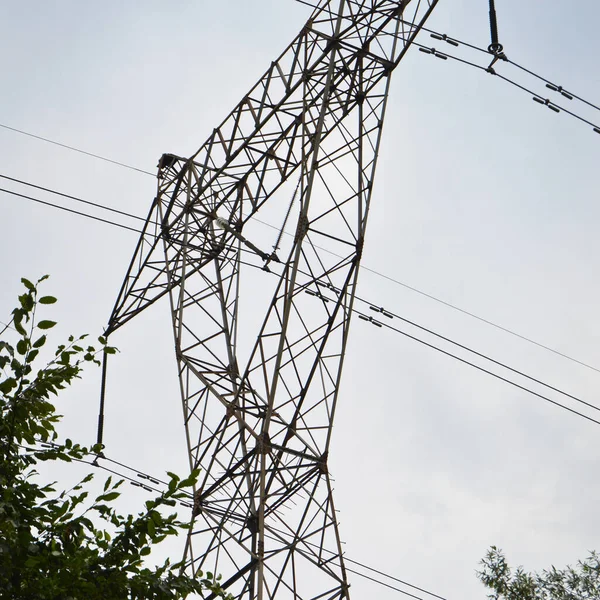 High Voltage Electricity Cables Detail Green Vegetation Clean Sky High — Foto de Stock