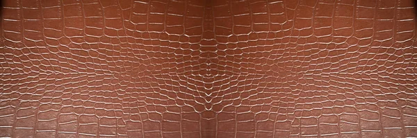 Zeer Luxe Krokodil Bruin Lederen Rechthoek Textuur Gebruikt Textielindustrie Imitatieleer — Stockfoto