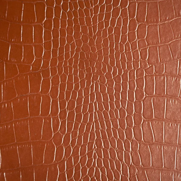 Textura Piel Cocodrilo Marrón Muy Lujosa Utilizada Industria Textil Cuero — Foto de Stock