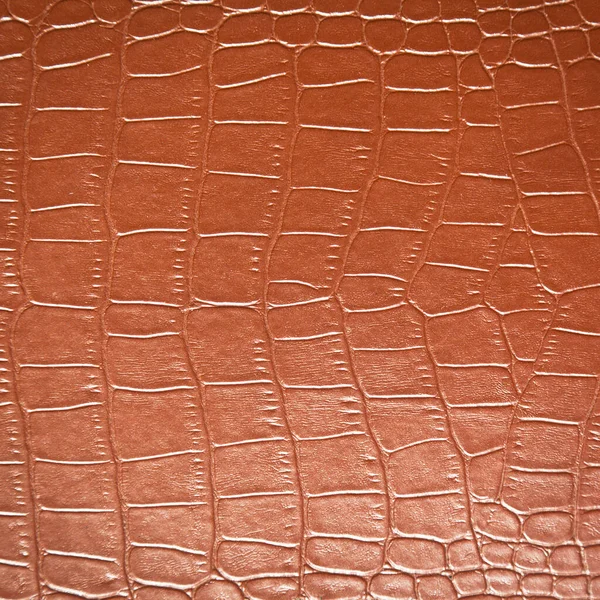 Texture Cuir Crocodile Brun Très Luxueuse Utilisée Dans Industrie Textile — Photo