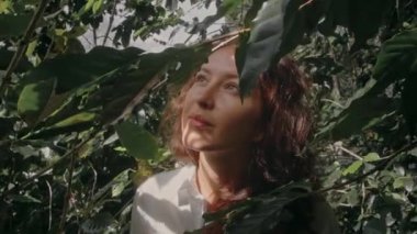 woman farmer is harvesting coffee berries in the coffee farm, arabica coffee berries with agriculturist hands