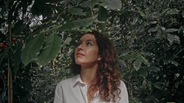 A woman on a coffee farm — Vídeo de Stock